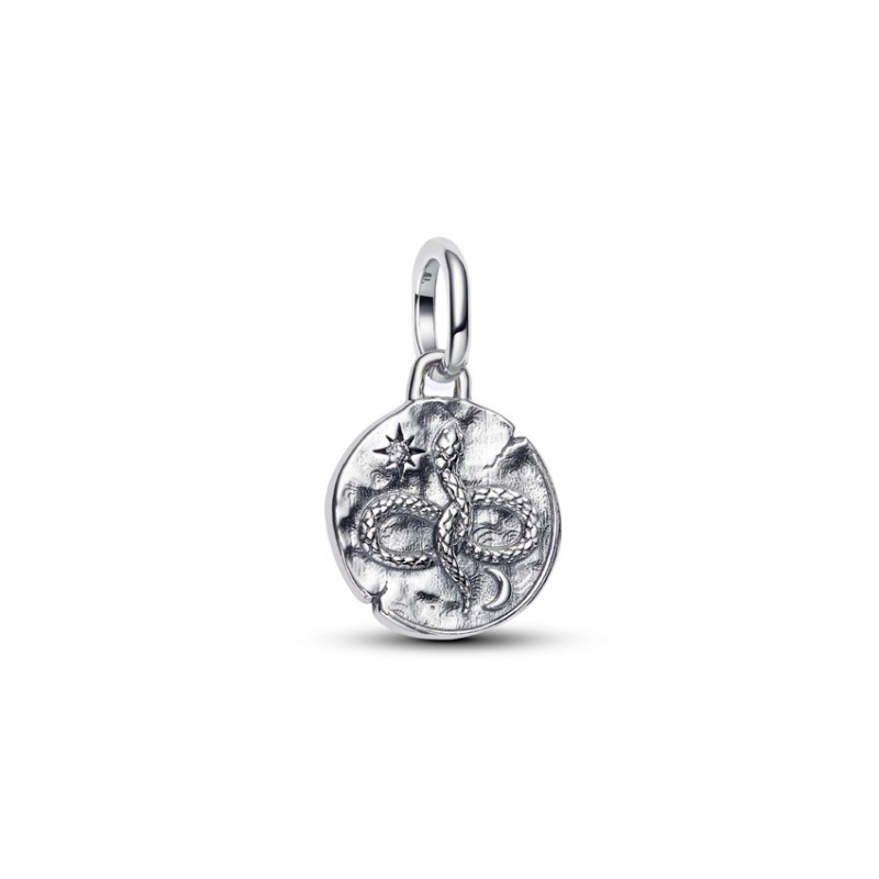 Pandora Infinity Serpent Medallion Charm 793976C01