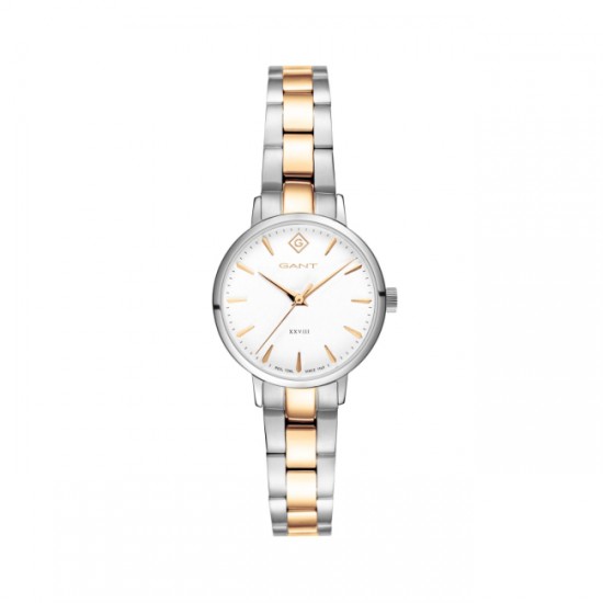 GANT Park Avenue 28 Yellow Gold-Silver Stainless Steel Bracelet G126010